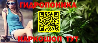 сатива Краснодар