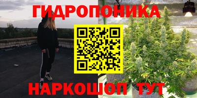 гашик Краснознаменск