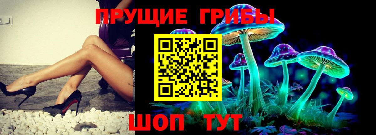 Галлюциногенные грибы прущие грибы  Вход с VPN  Галлюциногенные грибы ЛСД  как найти наркотики  Коряжма 