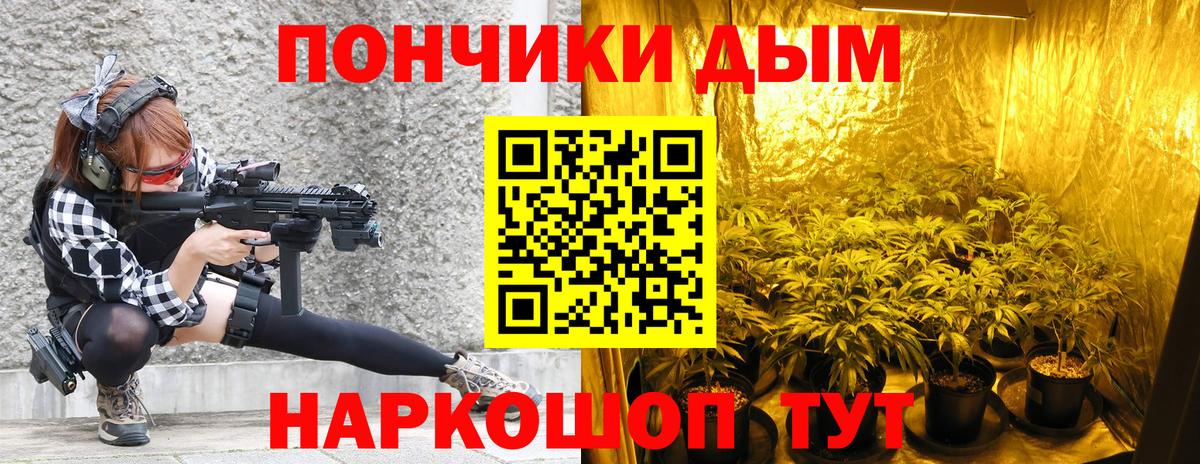 Шишки марихуана сатива Коряжма